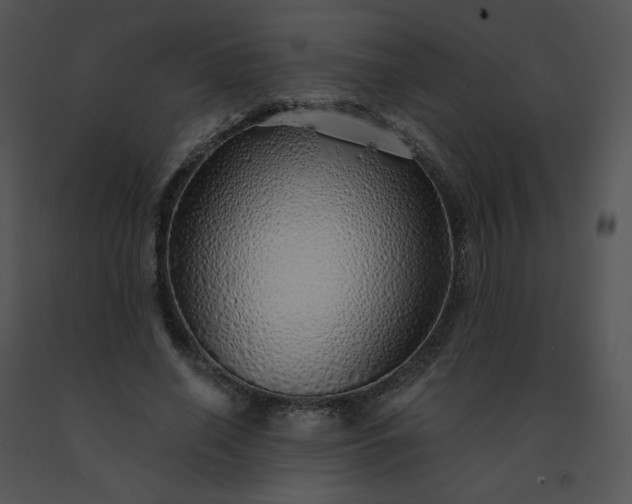 X0000091530638200708311312