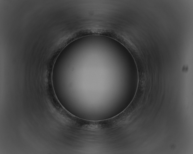 X0000091530639200708311312