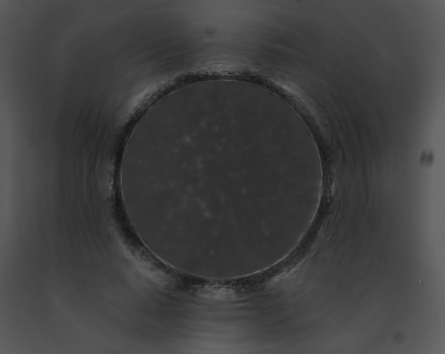 X0000091530640200708311312