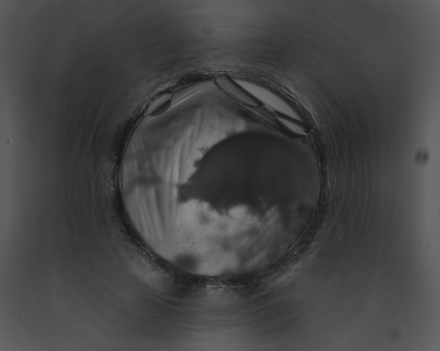 X0000091530641200708311312