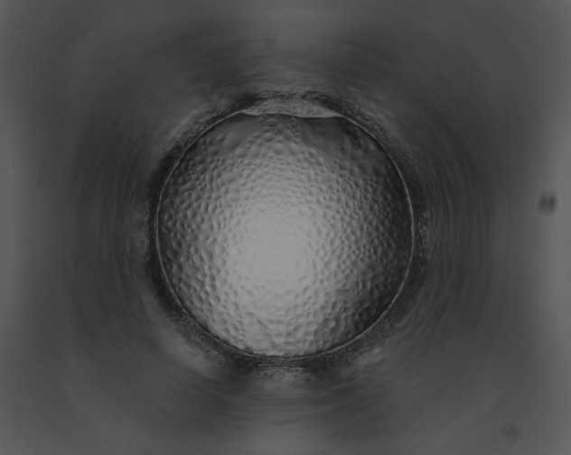 X0000091530642200708311312