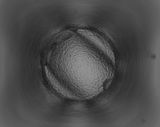 X0000091530643200708311312