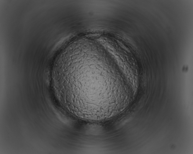 X0000091530644200708311312
