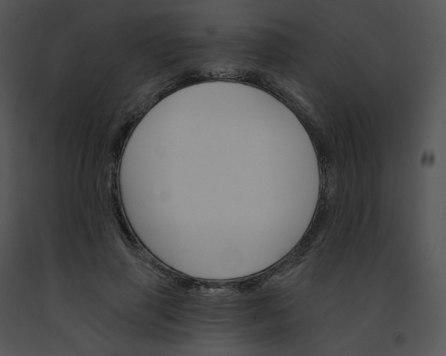 X0000091530645200708311312