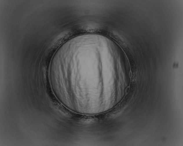 X0000091530646200708311312