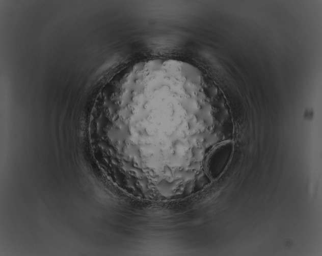 X0000091530648200708311312