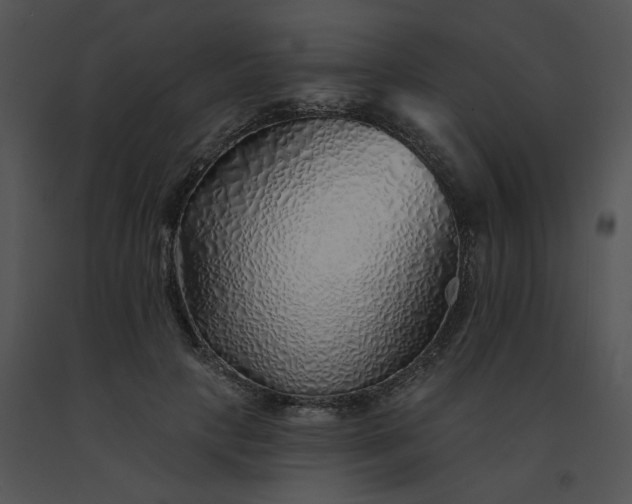 X0000091530649200708311312