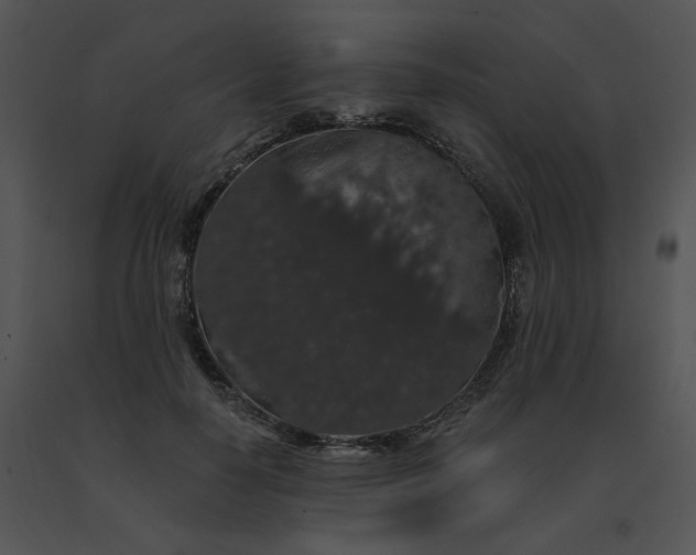 X0000091530650200708311312