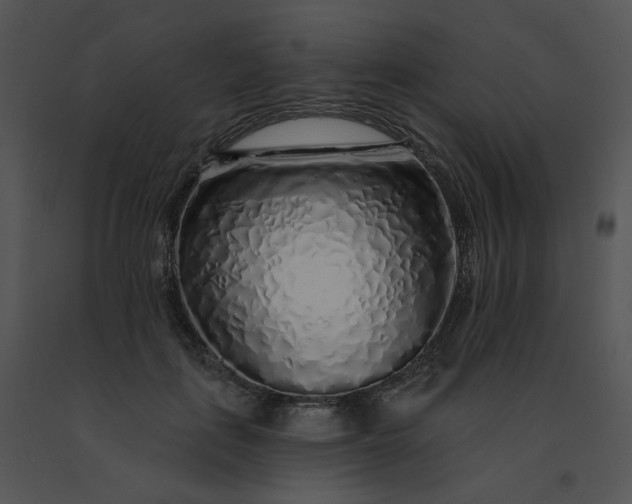 X0000091530651200708311312