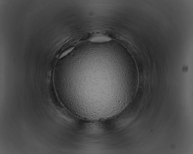 X0000091530652200708311312
