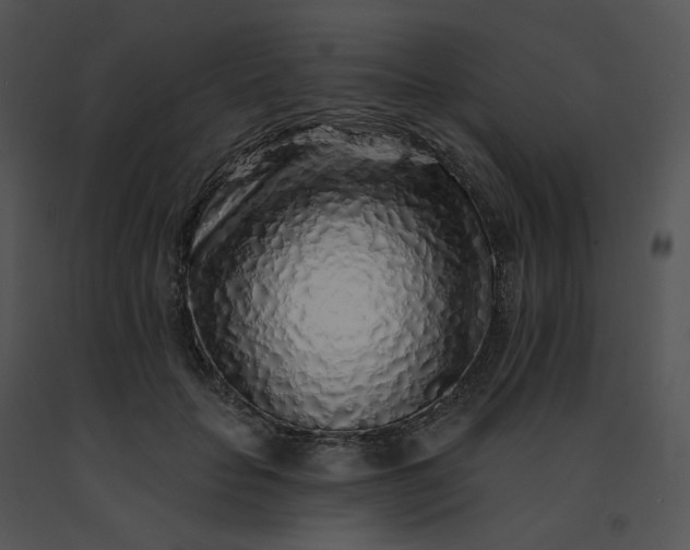 X0000091530653200708311312