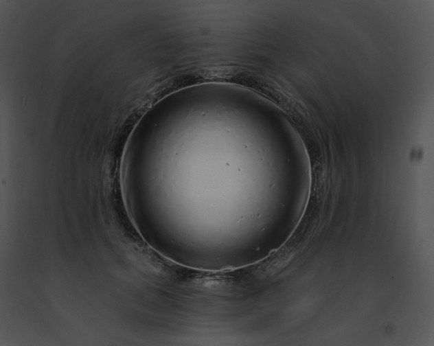 X0000091530655200708311312