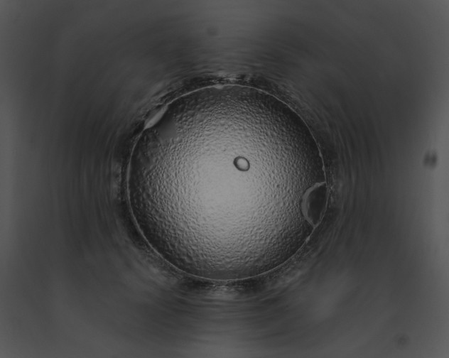X0000091530656200708311312