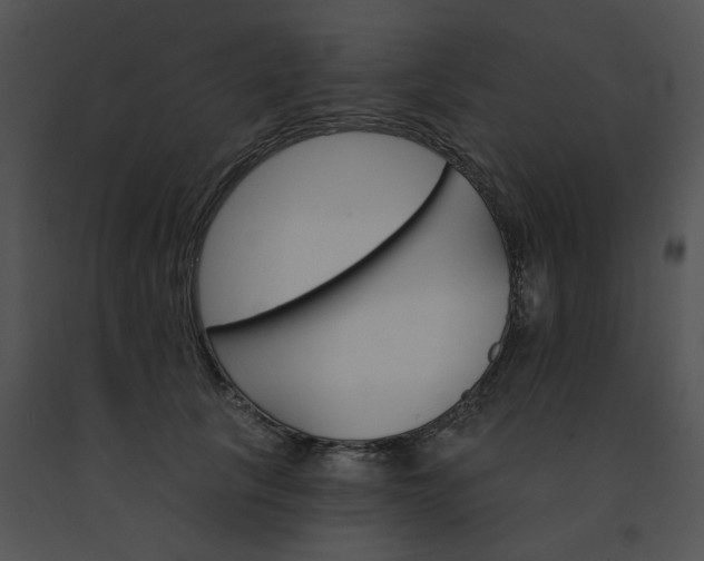 X0000091530657200708311312