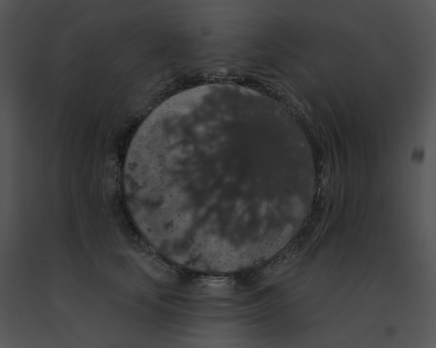 X0000091530659200708311312