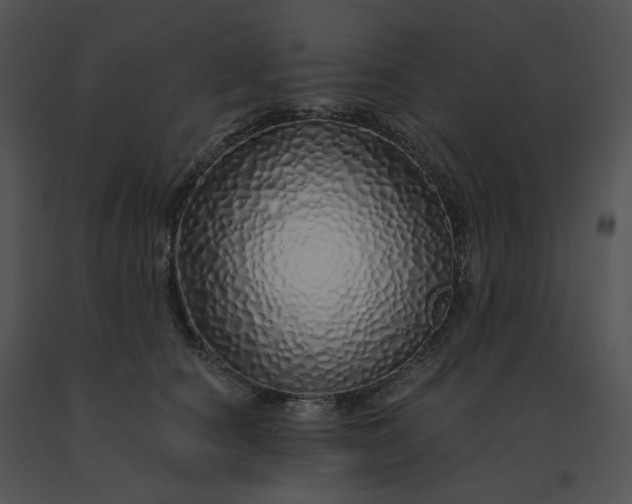 X0000091530660200708311312