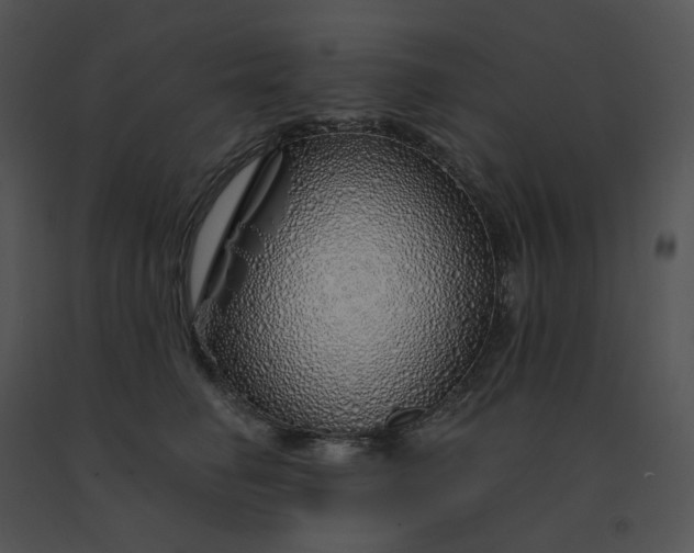 X0000091530662200708311312