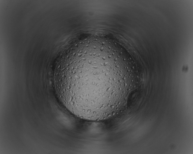 X0000091530663200708311312