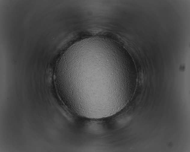 X0000091530664200708311312