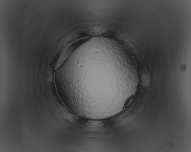 X0000091530665200708311312