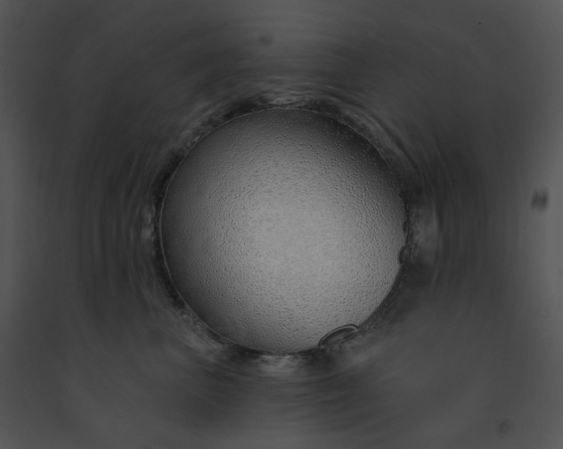 X0000091530667200708311312