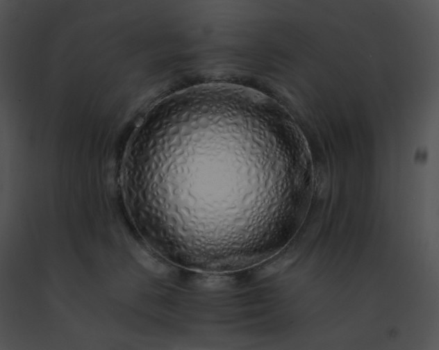 X0000091530670200708311312