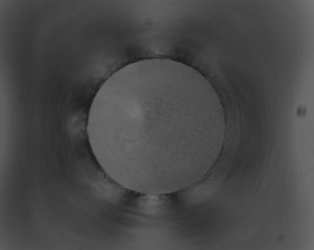 X0000091530672200708311312