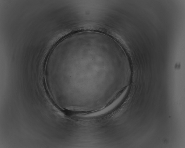 X0000091530673200708311311