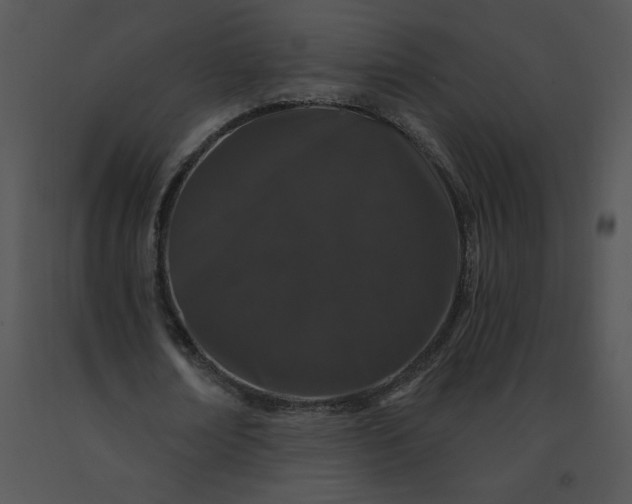 X0000091530674200708311311