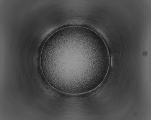 X0000091530675200708311311