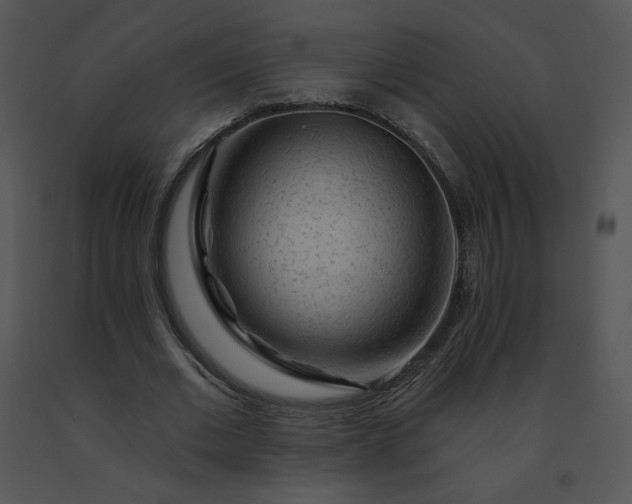 X0000091530677200708311311
