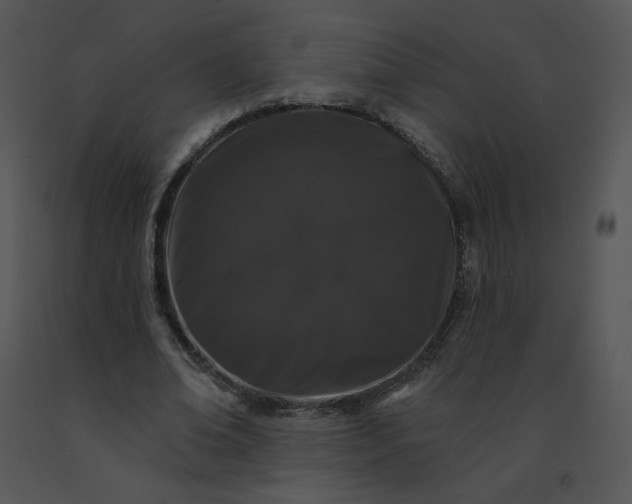 X0000091530678200708311311