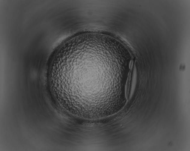 X0000091530679200708311311