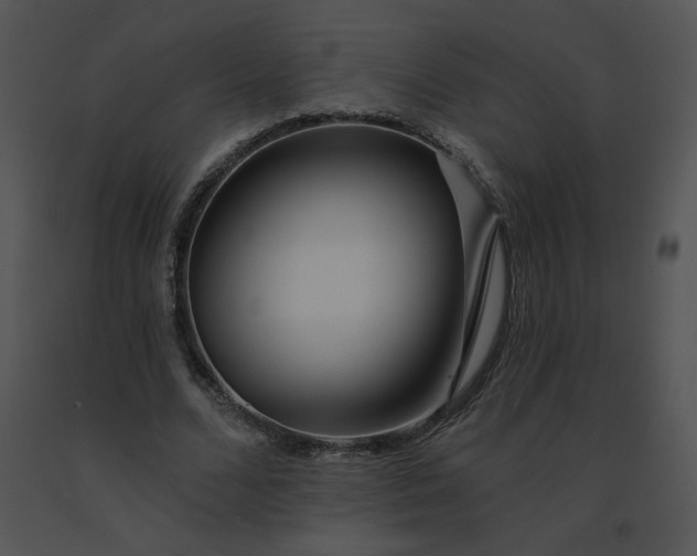 X0000091530680200708311311