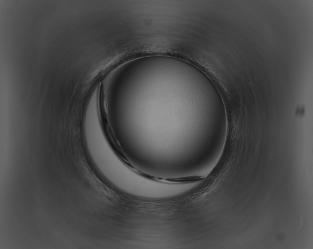 X0000091530681200708311311
