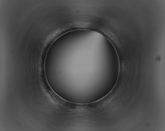 X0000091530682200708311311