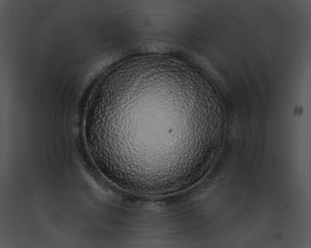 X0000091530683200708311311