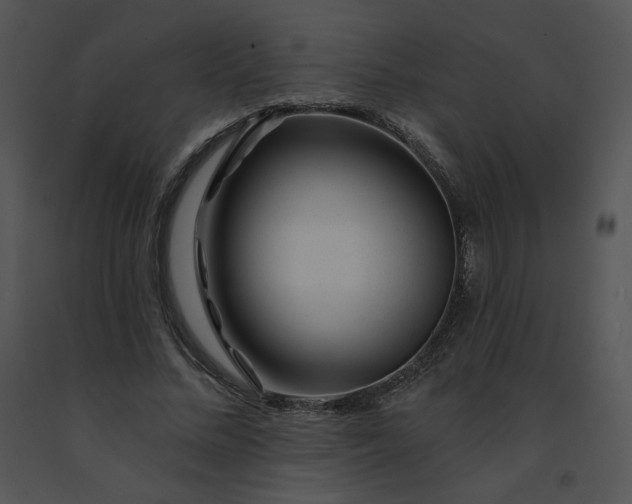 X0000091530684200708311311