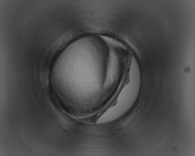 X0000091530685200708311311