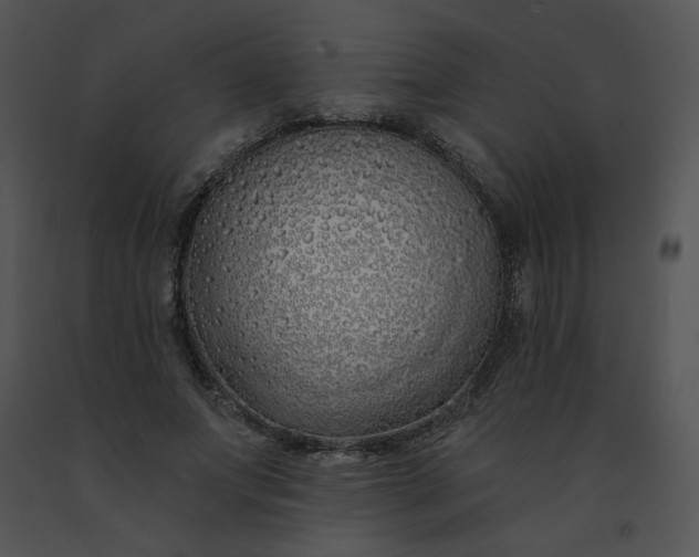 X0000091530687200708311311