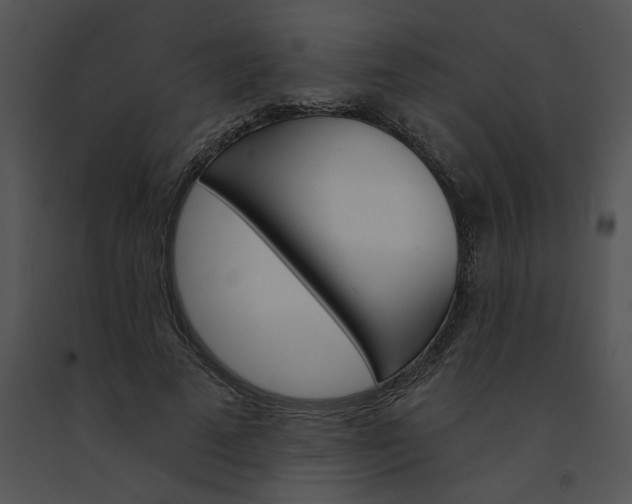 X0000091530689200708311311