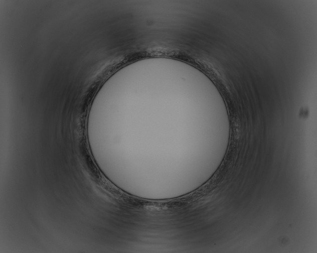X0000091530690200708311311