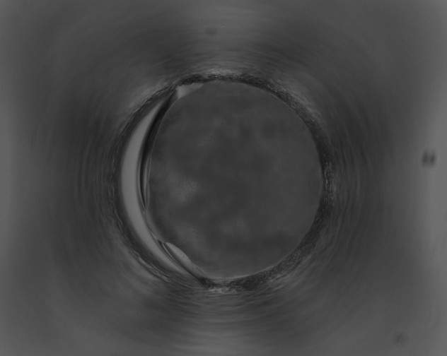 X0000091530692200708311311