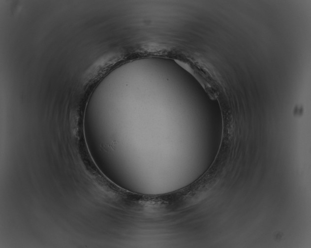 X0000091530693200708311311