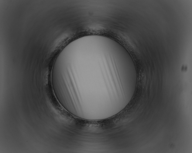X0000091530694200708311311