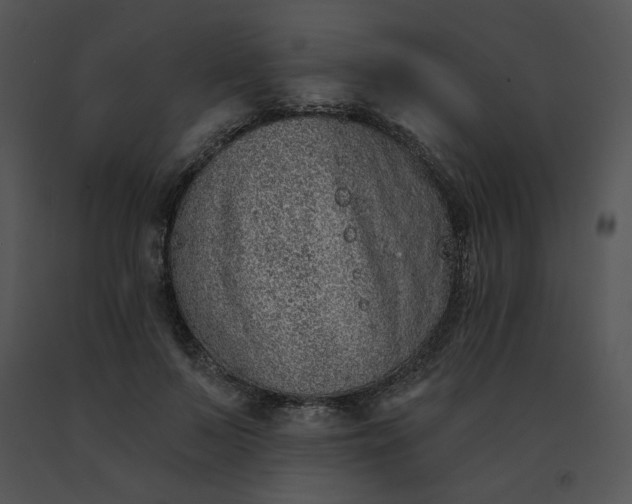 X0000091530695200708311311
