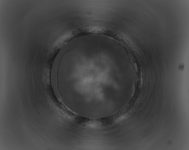 X0000091530696200708311311