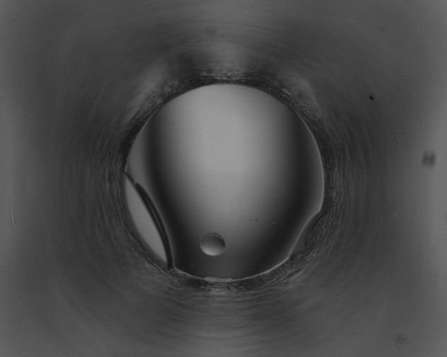 X0000091530697200708311311