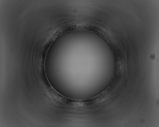 X0000091530698200708311311