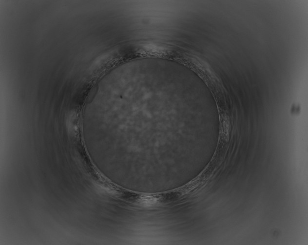 X0000091530701200708311311